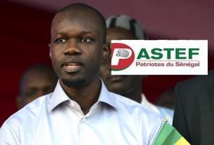 Ousmane Sonko Pastef canalactu