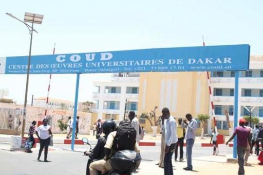 Université, le Saes-decrete-72h-de-greve