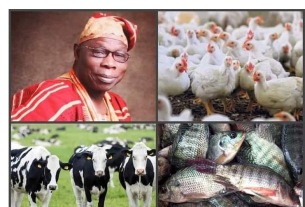 Olusegun Obasanjo